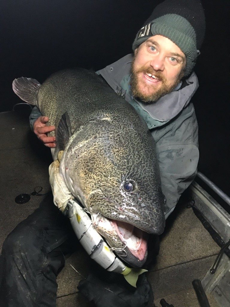 Swimbait Swimfish Madness Balam 300 Sinking - Leurre de la pêche