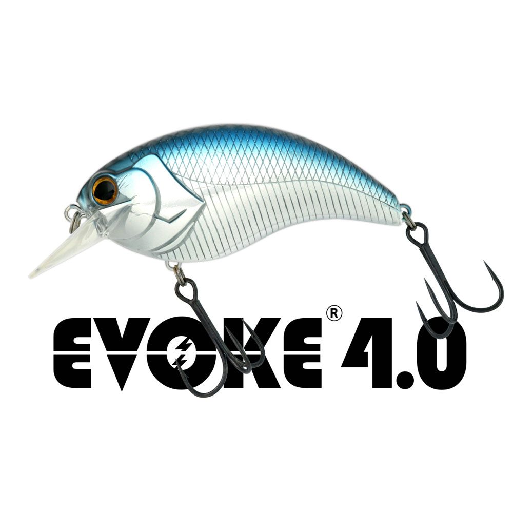 Deps Evoke 2.0 Crank Bait 66.5mm 18 Grammes Flottant Leurre 02