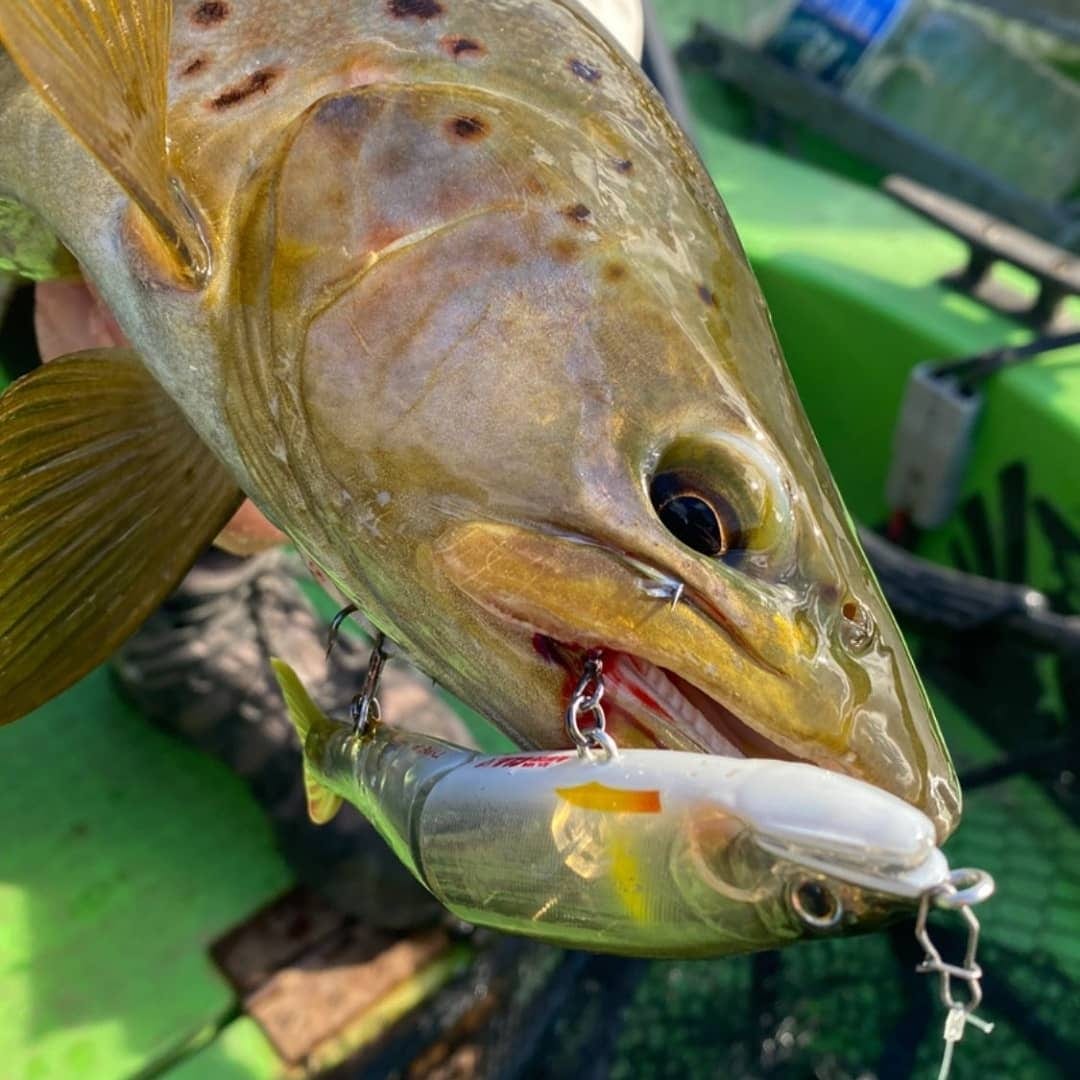 Gan Craft Jointed Claw 128 F Glide Bait