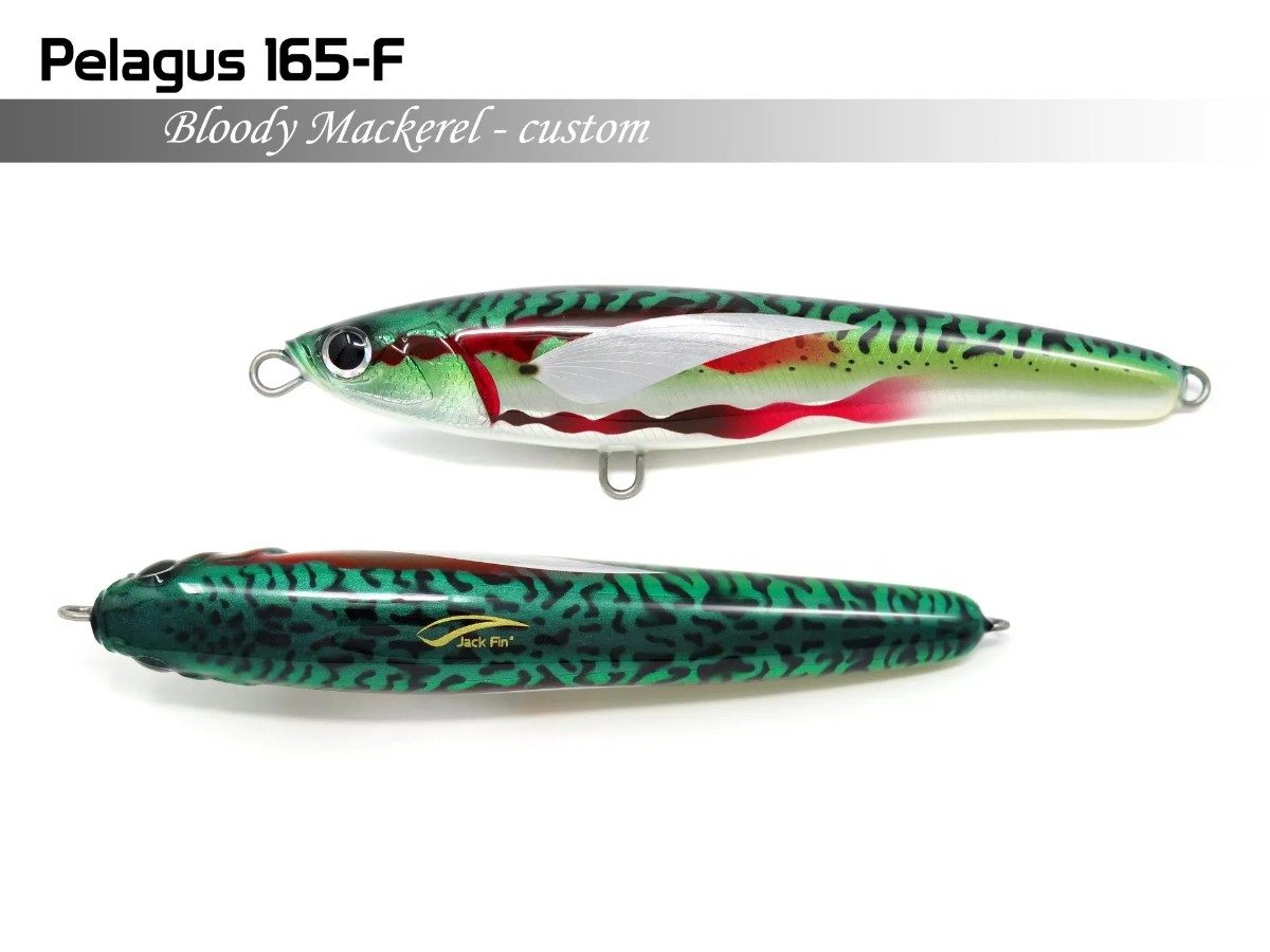 Jack Fin Pelagus 165-F