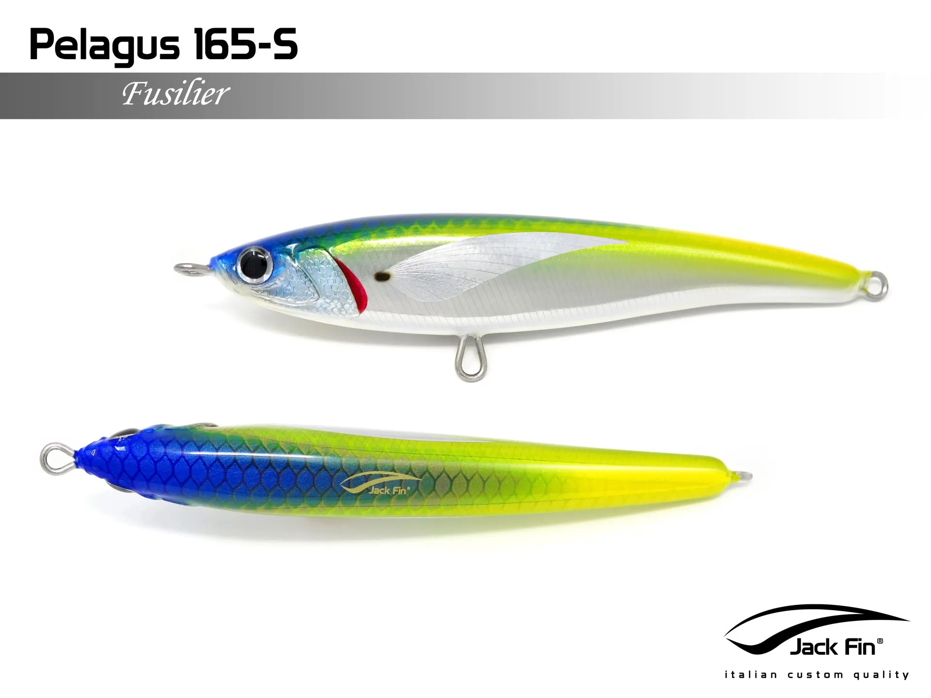 Jack Fin Pelagus 165-S