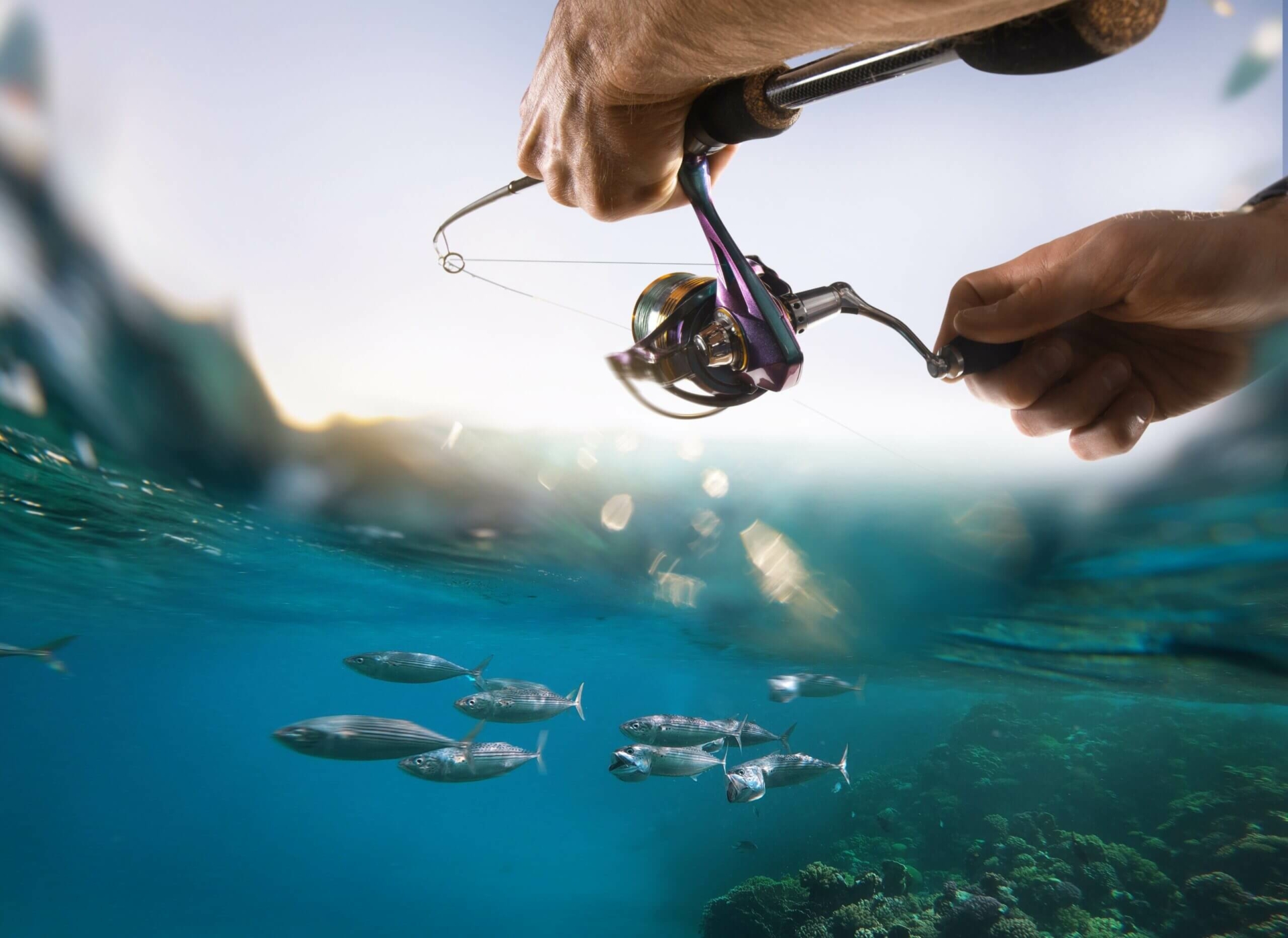 Blood n Bone Archives Ebb Tide Tackle