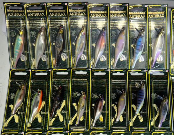 The Legend returns! Megabass Anthrax is back!